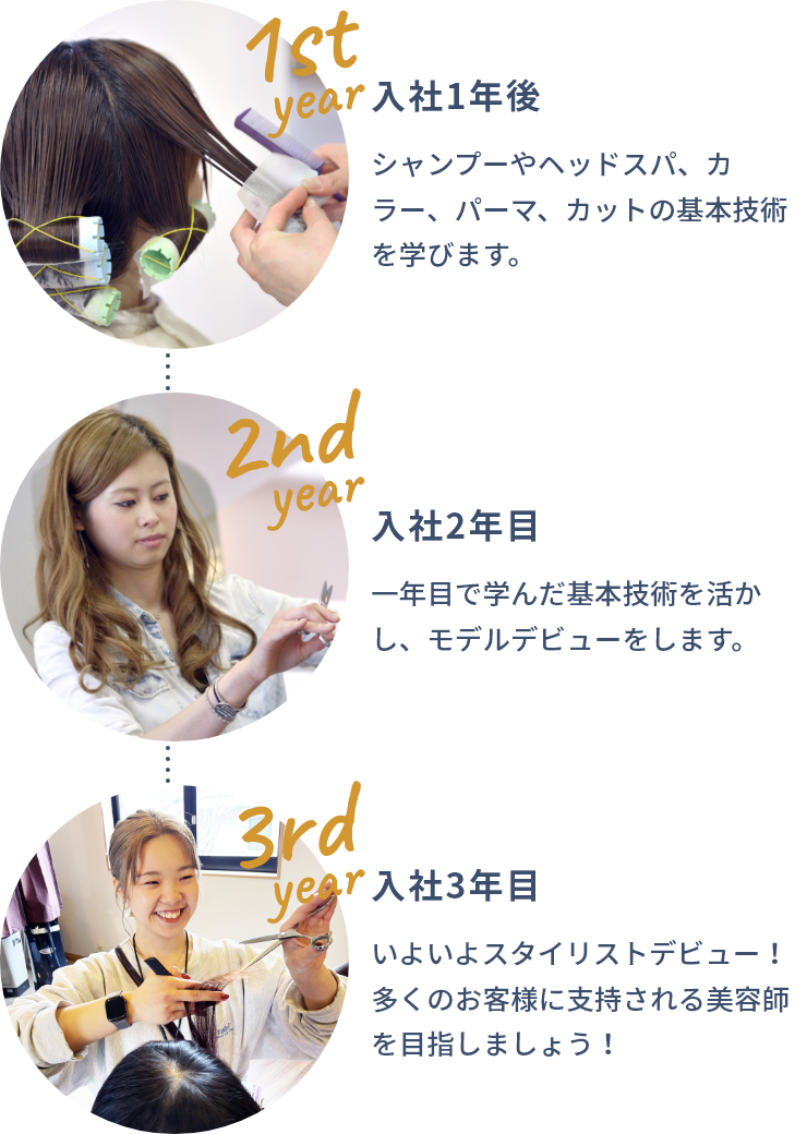 入社1年後：シャンプーやヘッドスパ、カラー、パーマ、カットの基本技術を学びます。　入社2年目：一年目で学んだ基本技術を活かし、モデルデビューをします。　入社3年目：いよいよスタイリストデビュー！多くのお客様に支持される美容師を目指しましょう！