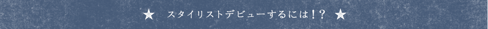 X^CXgfr[ɂ́IH