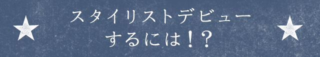 X^CXgfr[ɂ́IH